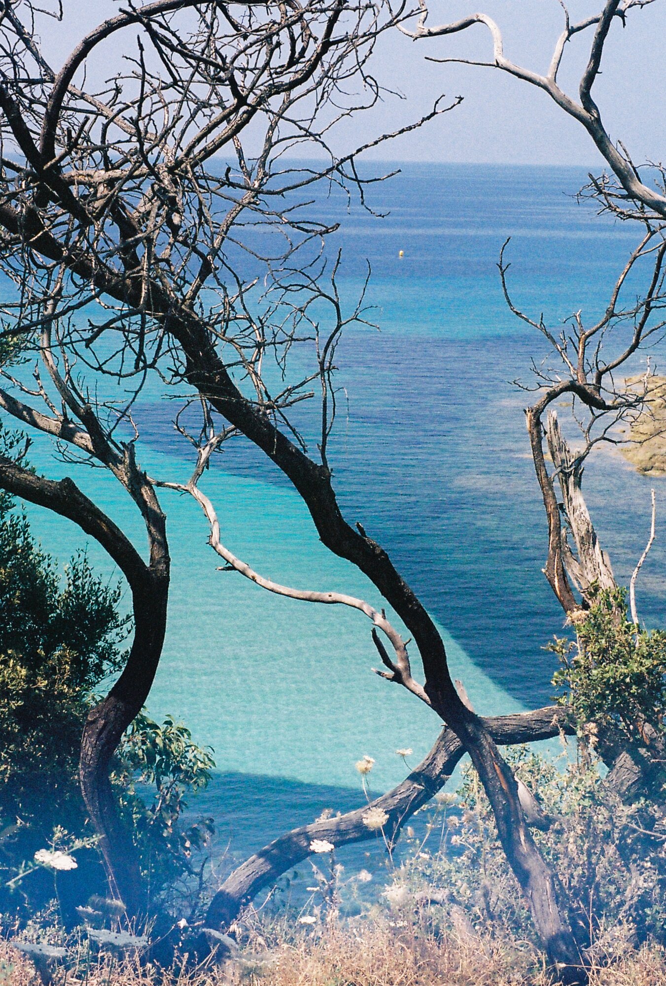• Corse25 •