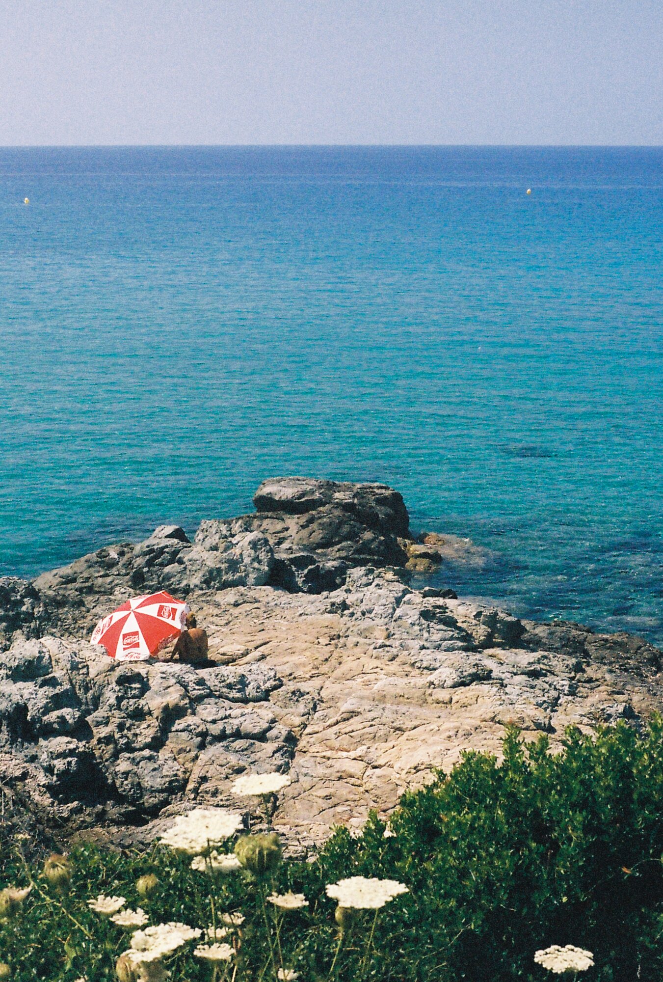 • Corse25 •